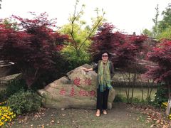 -上海长兴岛郊野公园