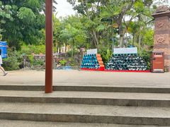 -新加坡水上探险乐园