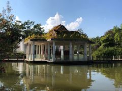 -中国科学院西双版纳热带植物园