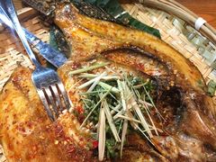 -云海肴·汽锅鸡·云南菜(天津国金汇店)