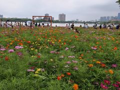 -顺峰山公园