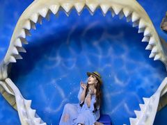 -上海海昌海洋公园