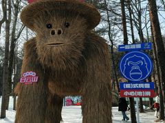 -洛阳白云山景区