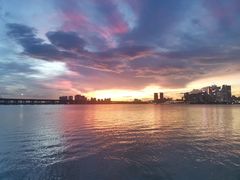 -宝安西湾红树林湿地公园