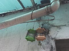 -裕兴记·三虾面(西北街总店)