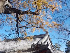 -香山公园