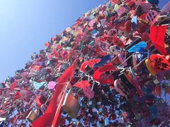 -帽儿山国家森林公园