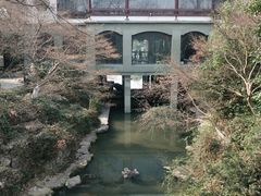 -闻莺馆(柳浪闻莺店)