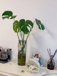 -美肤盾祛痘·问题肌头疗管理中心