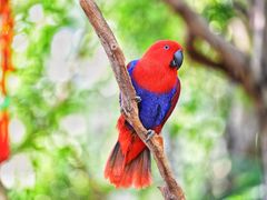 -广州长隆野生动物世界