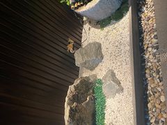 -四葉寿司·城市景观(深圳湾1号店)