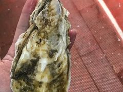 -HIHE Bistro·Oyster Bar(华熙live店)