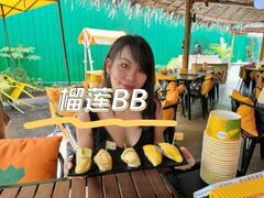 -榴莲BB 四季果园