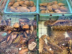 -大锅强·蒸海鲜青岛菜(金沙滩店)