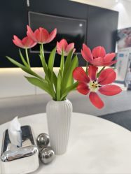 -春田皮肤管理中心品牌旗舰店
