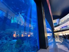 -迪拜水族馆及水下动物园