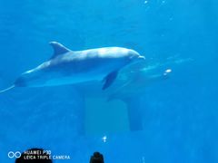 -多彩贵州城极地海洋世界