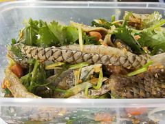 鱼皮-无影脚佛山陈氏盲公丸始创店(飞鸿街店)