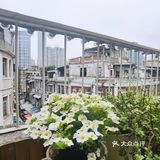 吉治百货-闹市里世外桃源，这很厦门