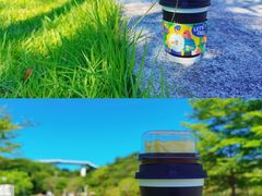 -飞凤山奥体公园