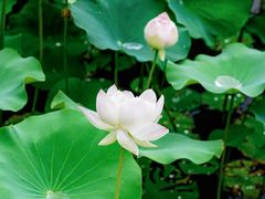 -黄兴公园