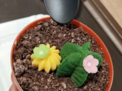 阳光果肉橙冰霸杯-85度C(苏州平江万达店)