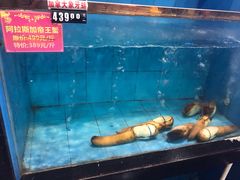 水产区-海南大院(海甸岛店)
