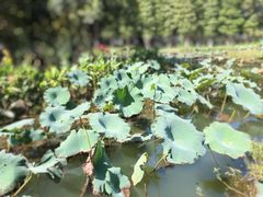 -苏州独墅湖世尊酒店