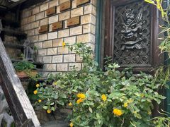 -慢丽江·云南野生菌土鸡锅(付家庄店)