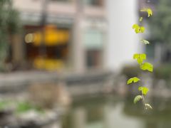 -扬州瘦西湖汇金酒店