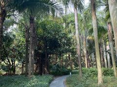-深圳湾公园(南山区)