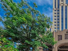 -汕头龙光喜来登酒店