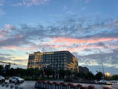 -春花秋色城市公园