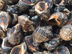 -大连双兴商品城