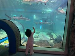 -福州罗源湾海洋世界旅游区