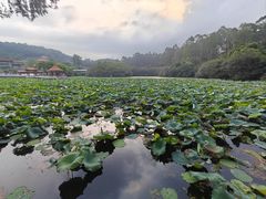 -南国桃园旅游度假区