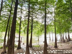 -梅州天地人花园酒店(梅县人民广场店)