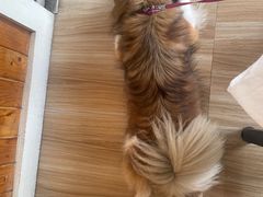 -LIFE'S拉啡斯(客天下·君临长安店)