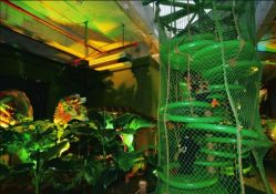 -恐龙探索乐园(磁器口店)