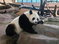 -宁波野生动物园