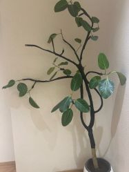 点击看大图 -美丽妈妈产后恢复中心(南桥旗舰店)