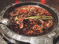 红汤锅底-一斗火锅·招财羊毛肚(泰吉滨江店)