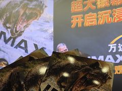 -寰映影城(大融城激光IMAX店)