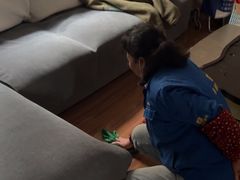 -武汉格丽雅家政 保洁清洗