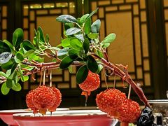 -奔跑吧陕菜·盛世长安(民乐园万达店)