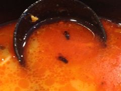 过桥缘(大华乐购店)-过桥缘·过桥米线(大华虎城嘉年华店)