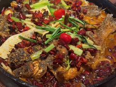 -老板恋上鱼(恒隆广场店)