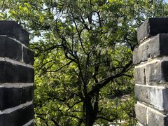 -遥桥古堡