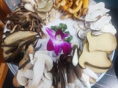 -野菌皇海景野生菌火锅(滨海大道店)