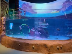 -沈阳海洋探索中心